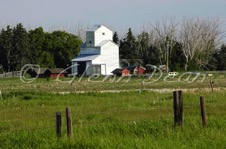 Carstairs
area farm
June 2007